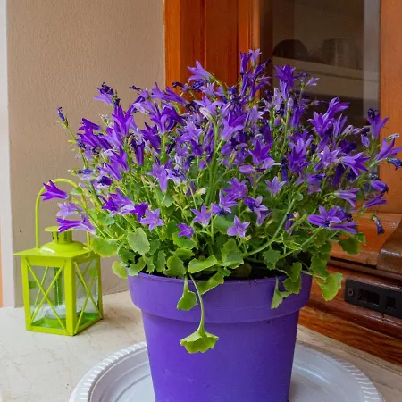 Apartment Dina Studio 1 Argostoli (Kefalonia)